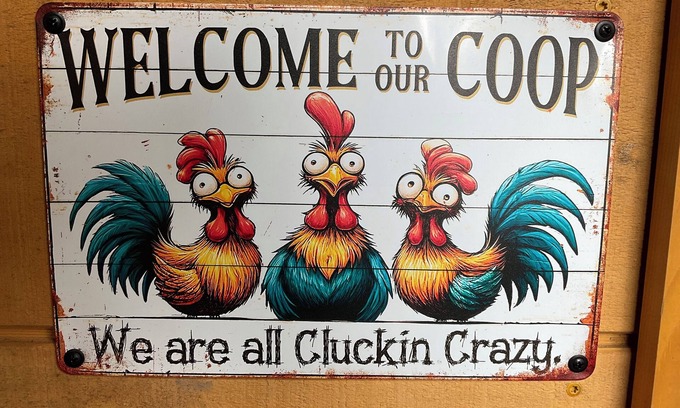 Roscoe Cabina | Roscoe Coop Clucking Crazy Hut