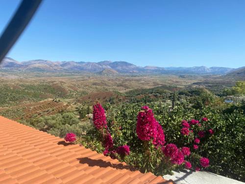 Lukove Casa | Rosemary House