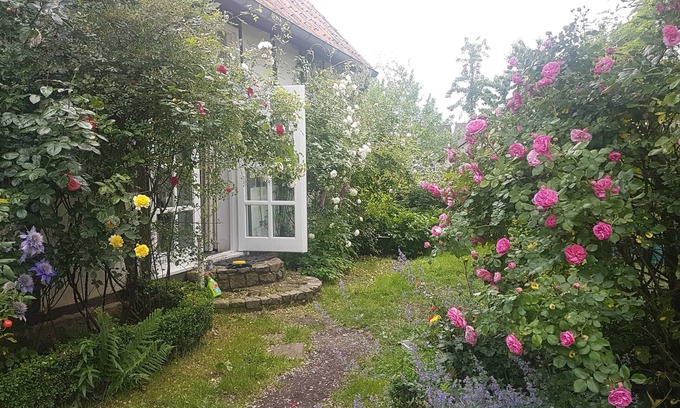 Halle Cama Y Desayuno | Rosindell-cottage