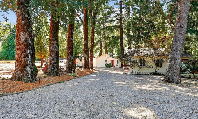 Cobb Apartamento | Rouge Cobb Mountain Hotel - Cabin 3