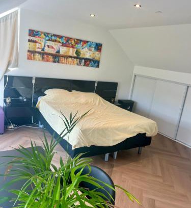 Leeuwarden Casa | Ruime slaap kamer met werkplek en privé badkamer bij Jacqueline