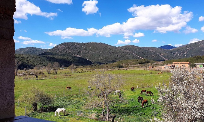 Navas de Estena Cabaña | Casa rural con piscina