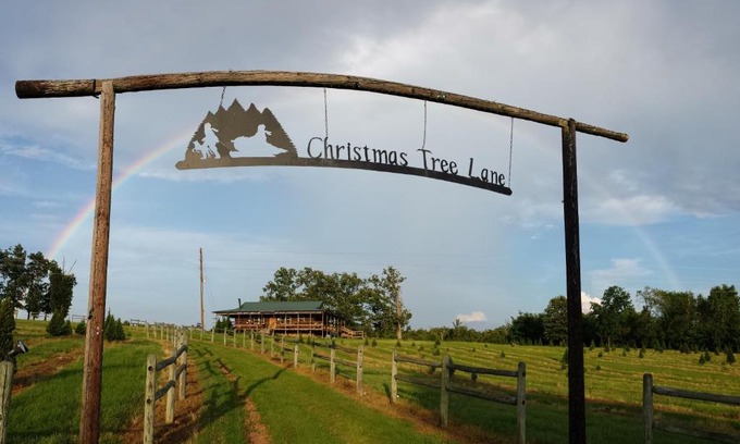 Cecil Casa | Rural life on a real Christmas tree farm! Hallmark experience!