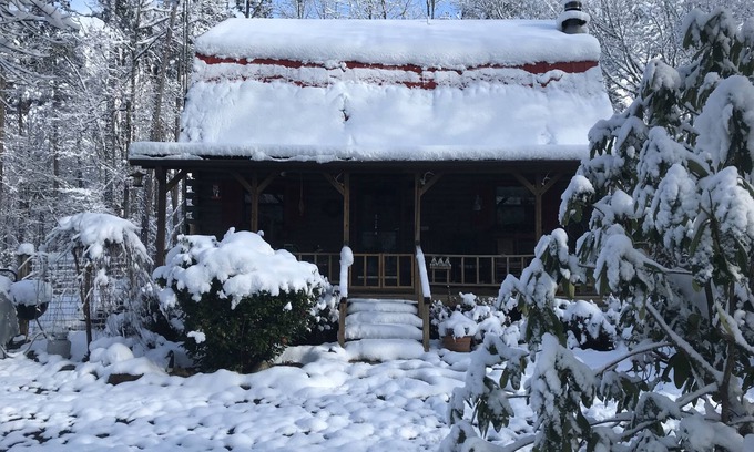 Ellijay Cabina | Rustic River Cabin, trout fishing, dog loving, beach area on secluded 8.5 acres!