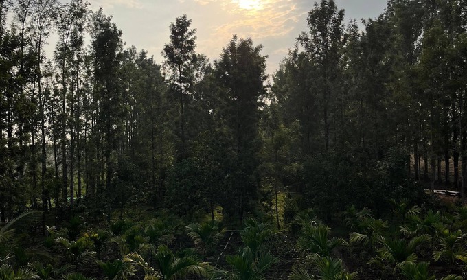 Piriyapatna Otro | S R Retreat – Workation & Nature Escape in Malanad