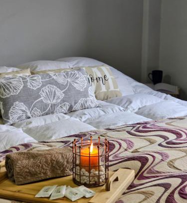 Zona Granja Apartamento | Samambaias