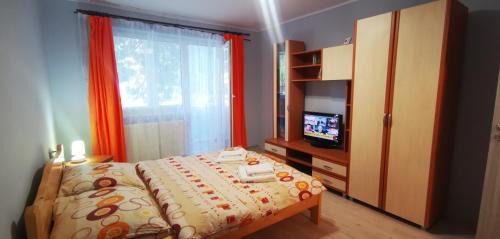 Sovata Apartamento | Sandra Apartman