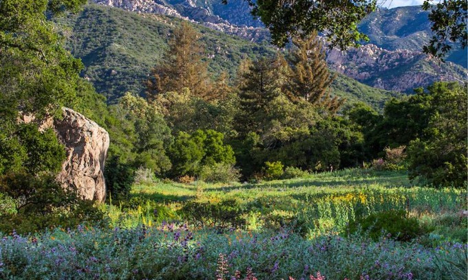 Mission Canyon Villa | Santa Barbara Botanical Cabin