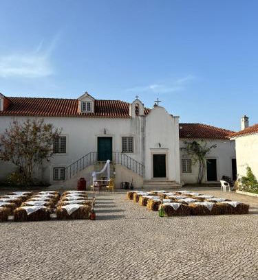 Pero Filho Chalet De Esquí | Santuário SOS Animal