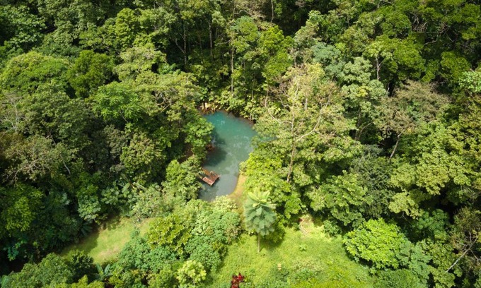 Valle Azul Casa | Santuario de Ranas - Explora nuestro paraíso natural