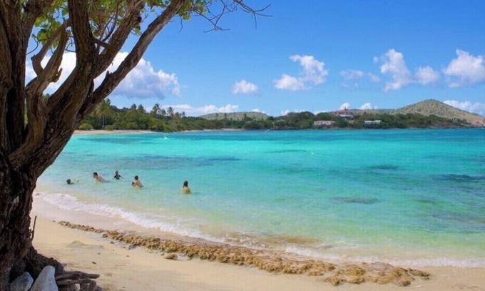 Red Hook Condominio | Sapphire Beach; St Thomas USVI; Sleep 4; STEPS FROM BEACH