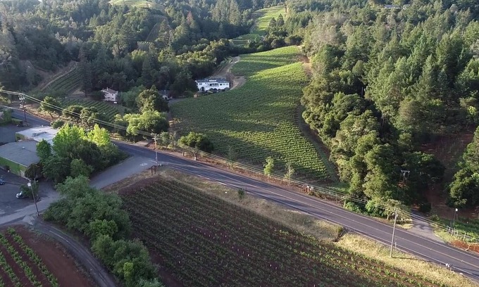 Geyserville Casa | Sapphire Canyon Vineyard Guest House