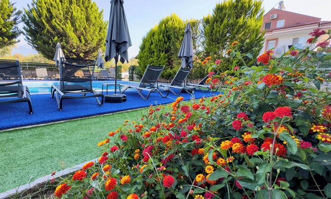 Fethiye City Center Hotel | Sardunya Hotel