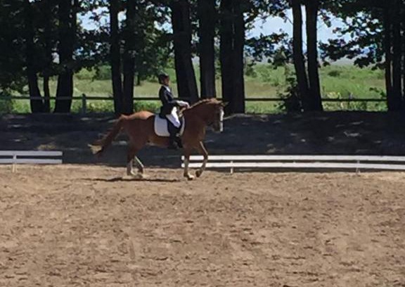 Parnu County Casa | Sassi Talu Horsefarm