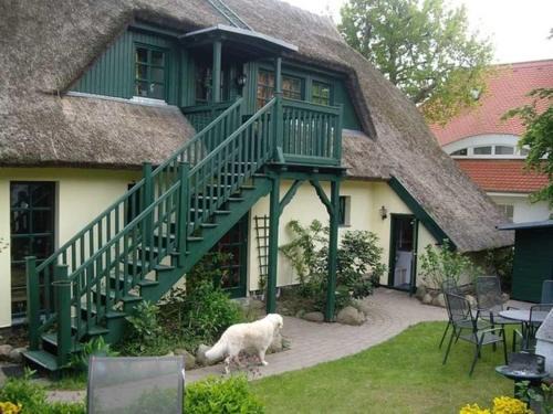 Middelhagen Apartamento | Schilfdachvilla Zeesboothaus WE308