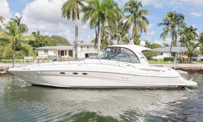 Seybold Alquiler De Eote | Sea Ray 55 ft