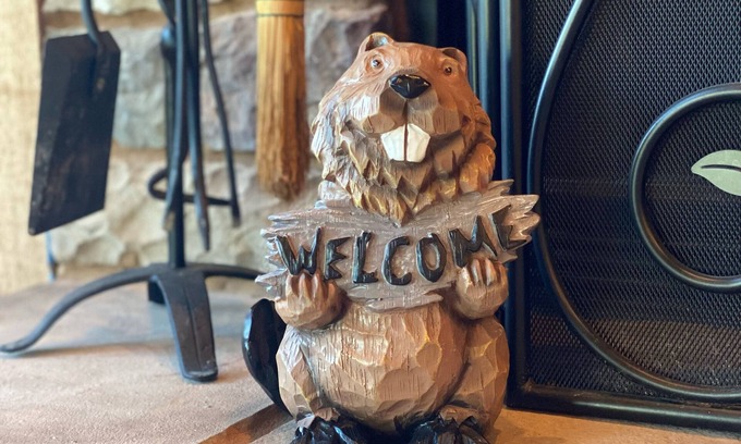 Daisy Cabina | Secluded 5-Bedroom Lodge with Private Lake – Perfect for Large Groups!