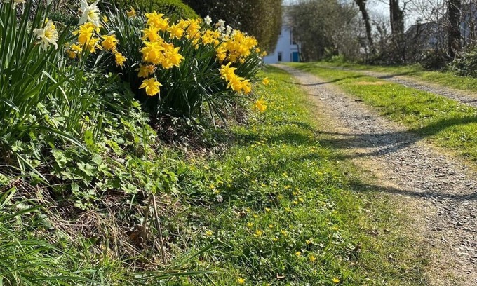 Haverfordwest Casa | Perfecto para reunirse y explorar la costa de Pembrokeshire.
