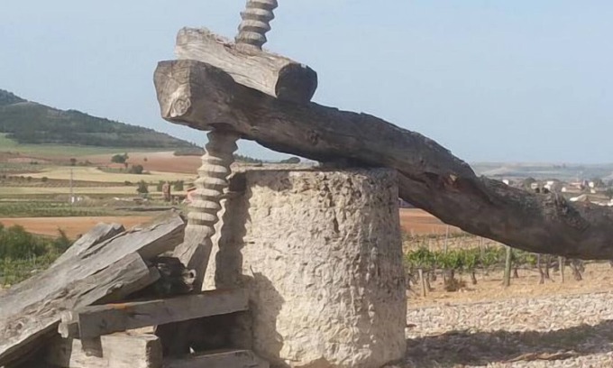 Anguix Cabaña | Casa rural (alquiler íntegro) La Verde Villa para 11 personas