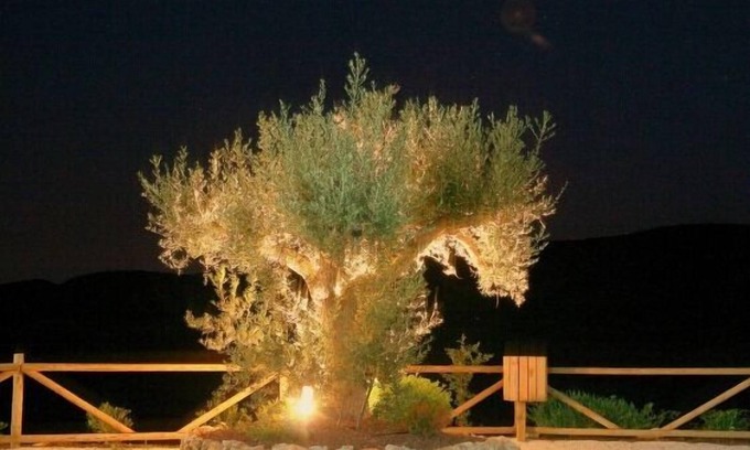 Taberno Cabaña | Casa rural (alquiler íntegro) Sol de Taberno para 6 personas