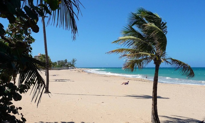 Ocean Park Apartamento | Serena Baja