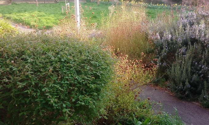 Cherry Hinton Apartamento | Serene Calm flat in a beautiful part of Cambridge UK. 1 dble Room 1 other guest.