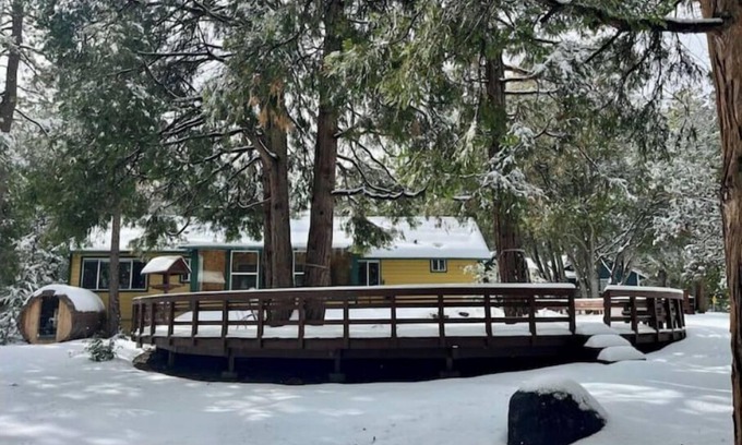 Pine Cove Cabina | Serene & Magical Cabin - Family/ADA-Friendly, w/Barrel Sauna & Fireplace!