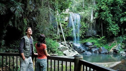 Eagle Heights Apartamento | Serene Mountain Cabin Retreat Tamborine Mountain