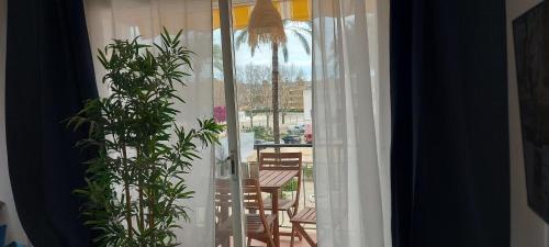 Platja de l'Arenal Apartamento | Serloren Jávea Playa