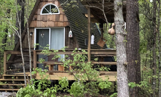 Muscadine Cabina | SHEKHINA A tiny house in the woods. 40 acres. Total privacy. Weekend retreat.