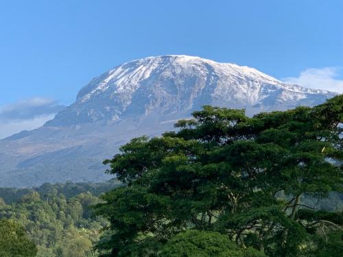 Kilimanjaro Region Casa | Shimbwe Meadows Home