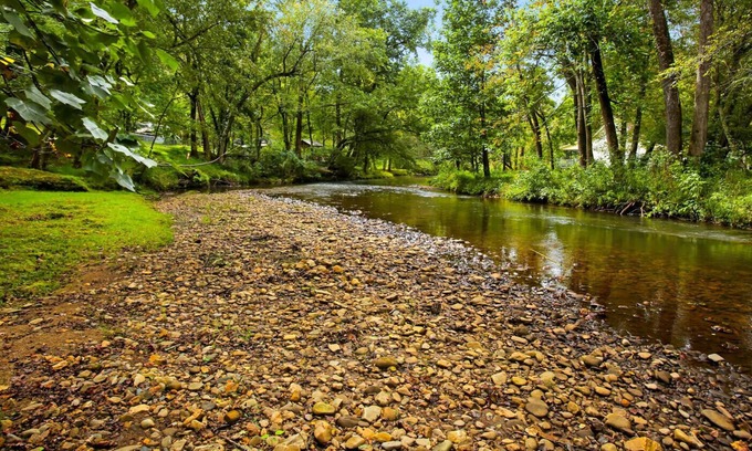 Hayesville Cabina | Shooting Creek Cottage Walk n' Creek Fronatge! Close to Lake Chatuge! Fish WiFi