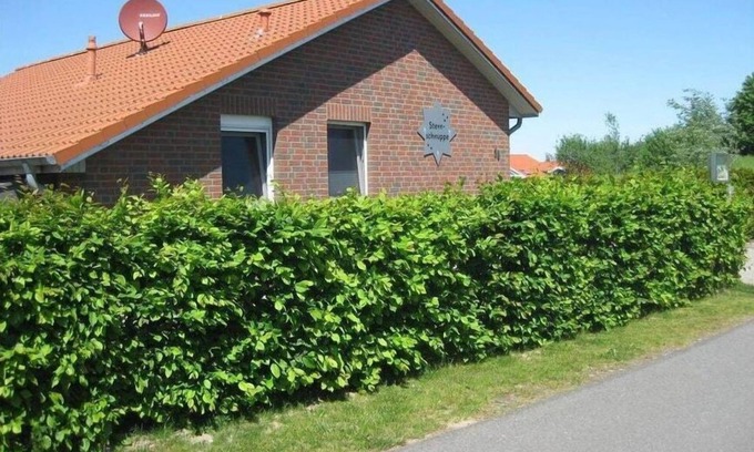 Norderteil Alquiler De Eote | Shooting Star Comfortable holiday residence