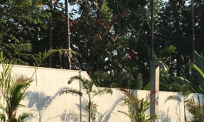 Thiranagama Villa | Silence Garden