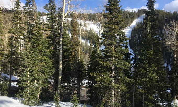 Beaver Condominio | Ski-In / ski-out en Eagle Point Ski Resort - Snowflake # 12 - 1 Bedroom Condo