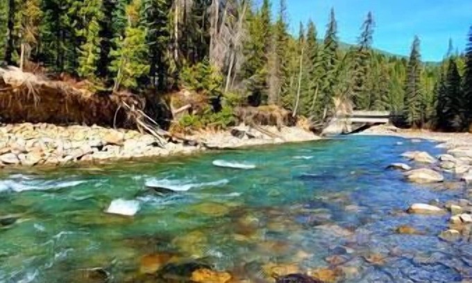 East Kootenay Apartamento | Ski or bike in/out - Pool - Hot Tub - Great Views