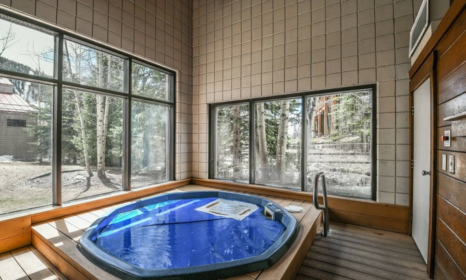 Mountain House Condominio | Ski Run 303