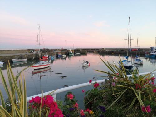 Montrose Casa | Sma Harbour Hoose