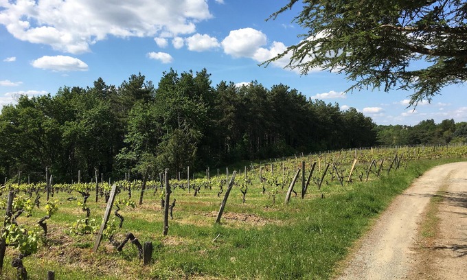 Murs-Erigne Casa | Small 19th-century house surrounded by vines, Domaine viticole de Rochambeau