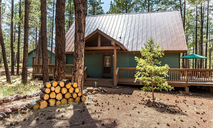 Williams Cabina | Snow Time Whimsical Forest Retreat for Family, Friends w/AC