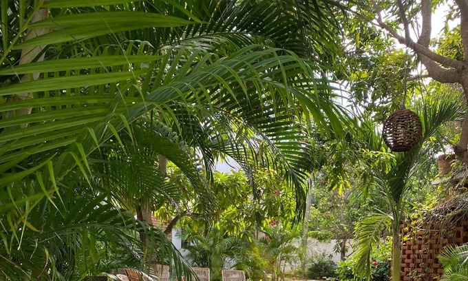 San Pedro Pochutla Hotel | Soiree