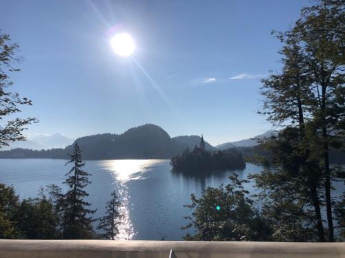 Bled Casa | Sovica