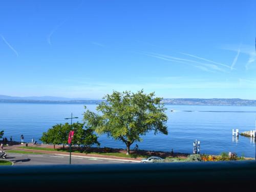 Evian-les-Bains Apartamento | Spacieux appartement à Évian, proche centre et lac, pour 5 personnes, animaux acceptés - FR-1-498-7
