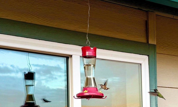 Squaw Valley Casa | Spacious 4-bedroom house in wonderful near Sequoia and Kings Canyon National