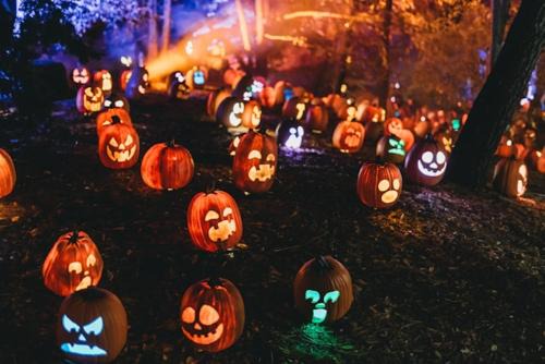 Labasheeda Otro | Spooktacular Halloween Shannon Estuary Glamping Budget-Sustainable-Rustic-Countryside Holiday Accommodation