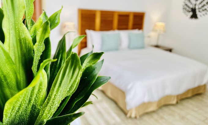 South Beach Casa | Spoondrift Hostal