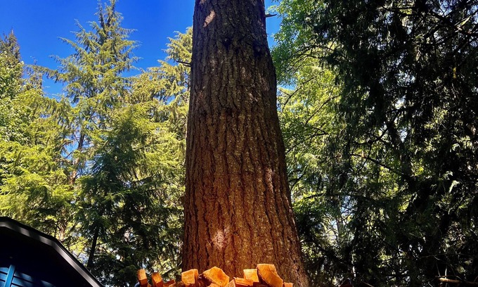 Sudden Valley Casa | Springtime in the Valley! Modern Charm and the BEST Hiking and Biking in the PNW