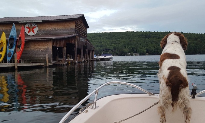 Holderness Casa | Squam Lake Waterfront home. You can't get any closer to the water!
