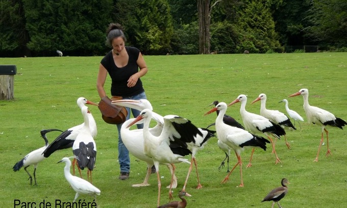 Saint-Armel Casa | Casa en la península de Rhuys Saint-Armel