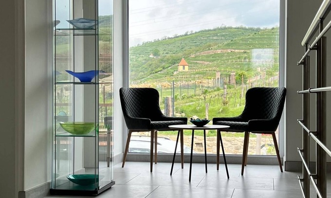 Velke Zernoseky Hotel | Stará vinice